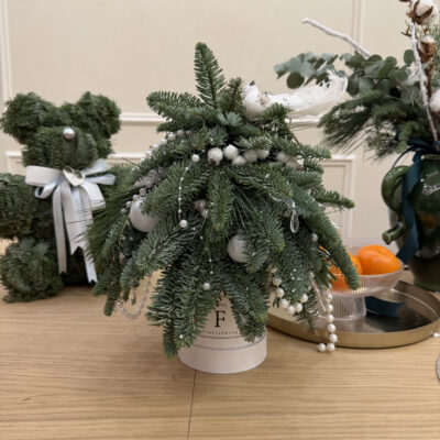 Ялинка з нобілісу в боксі в білій колористиці