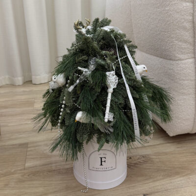 Ялинка з нобілісу в боксі