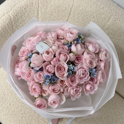 Кущові троянди Fairy Kiss з оксипеталумом