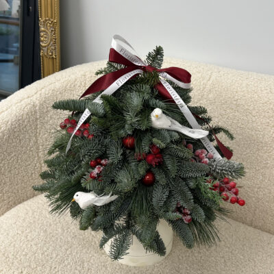 Ялинка в боксі в біло червоній колористиці