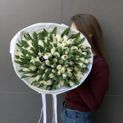 101 білий тюльпан