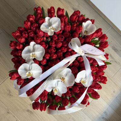 Композиція зі 151 тюльпану та орхідей
