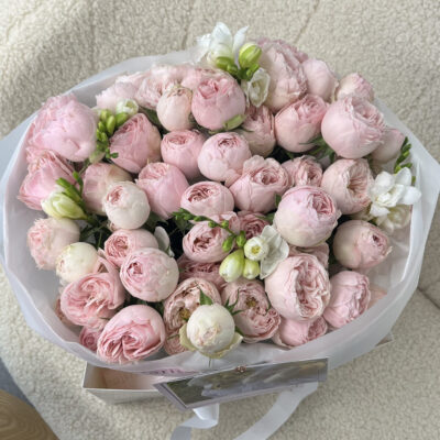 Мікс кущових троянд Mansfield Park та фрезій